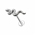 Piercing labret serpente argento su sfondo bianco
