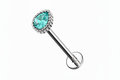 Labret azzurro con corona come il rosa